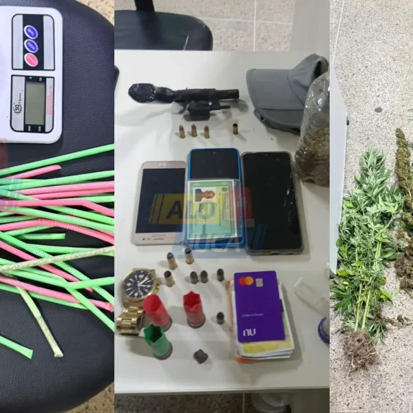 ACABOU A SAFRA: Rondesp RMS erradica cerca de 1.200 pés de maconha entre Itanagra e Entre Rios