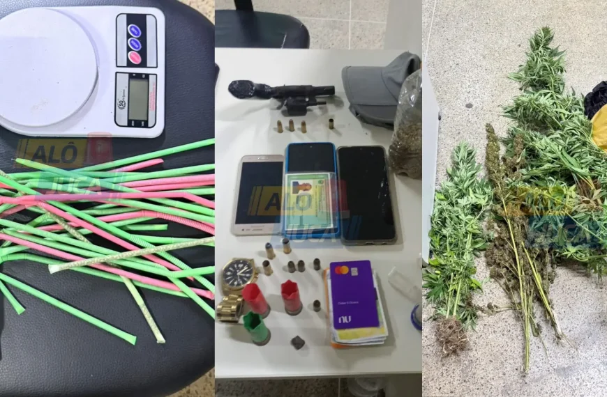 ACABOU A SAFRA: Rondesp RMS erradica cerca de 1.200 pés de maconha entre Itanagra e Entre Rios