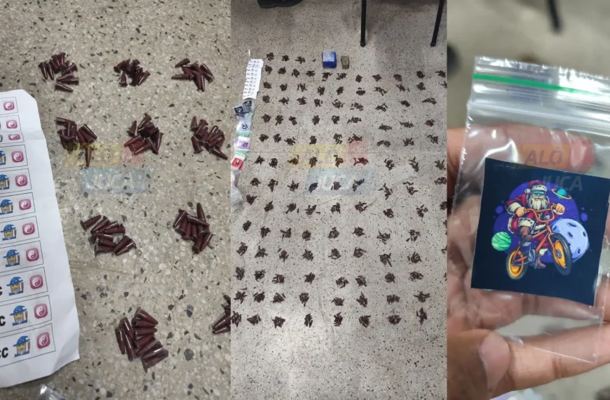 BAQUE 26º BPM apreende mais de 1.000 pinos de cocaína durante operação em São Sebastião do Passé